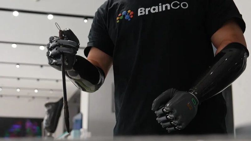 数据仓库架构：构建高效数据处理的基石